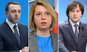 Гарибашвили об омбудсмене: Я разделяю заявления председателя партии