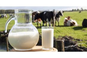 VAT-free production of milk and dairy products