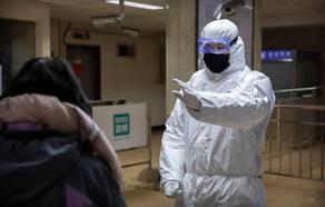WHO: World must be ready for a global viral outbreak