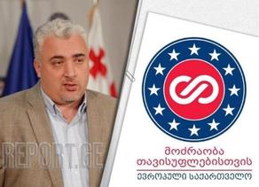 European Georgia party leader: This is quasi-politician's behavior