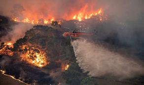 За два дня на тушение пожаров в Австралии собрали 20 миллионов