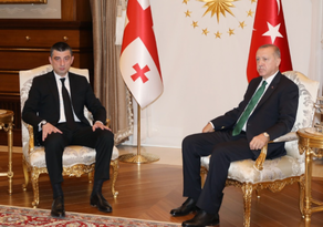 Эрдоган поздравил Гахария с переназначением