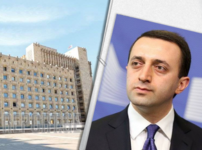 Irakli Gharibashvili talked to the CEO of Pfizer