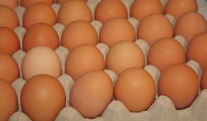 Man died after eating 41 eggs