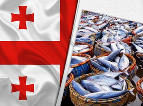 Fish exported from Georgia to Azerbaijan, Turkey and Armenia