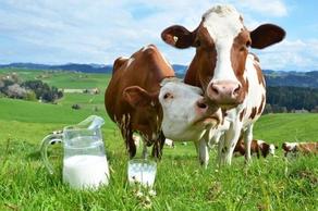 Georgia sees increased milk and decreased meat production