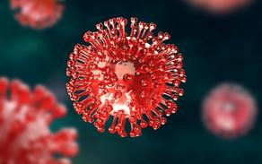 Обнаружен еще один новый штамм коронавируса