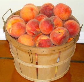 Из Грузии в Азербайджан экспортировано 543 тонны нектарина и персиков