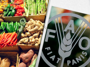 აგვისტოში FAO-ს ფასების ინდექსი 2.0%-ით გაიზარდა