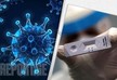 Показатель роста случаев инфицирования коронавирусом на 24 декабря