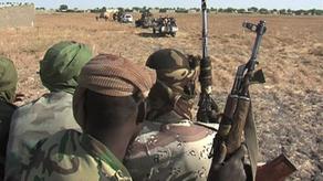 Members of Boko Haram killed 12 militants in Nigeria