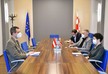 Georgia’s Culture Minister meets Austrian Ambassador