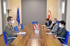 Georgia’s Culture Minister meets Austrian Ambassador