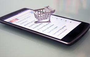 Government launches monitoring of online sale companies