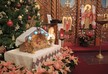 Сегодня Католическая церковь празднует Рождество