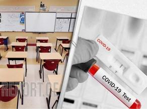 В школах Грузии снизился уровень инфицирования COVID-19