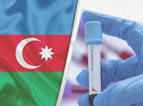 В Азербайджане выявлено 528 новых случаев COVID-19