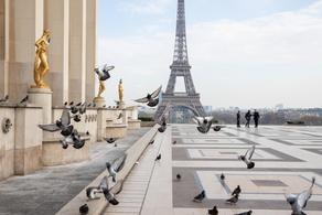 Франция будет объявлена зеленой зоной с 15 июня
