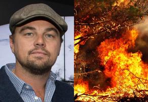 President of Brazil blames Leonardo DiCaprio inAmazon fire.