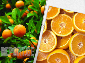 Как отличить хороший апельсин от плохого