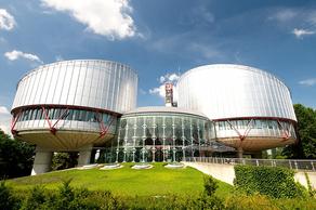 Strasbourg court accepts Nika Melia's case