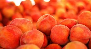 Azerbaijan observed among top three countries Georgia exports peach