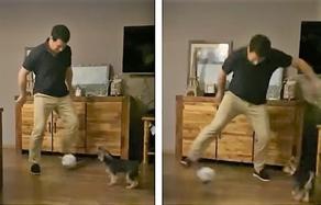 ,,როცა ძაღლი უკეთ თამაშობს - არჩილ თალაკვაძე ძაღლს ფეხბურთს ეთამაშება - VIDEO