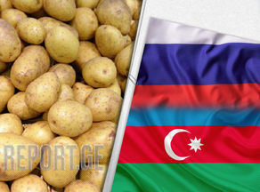 Georgia exported largest amount of potatoes to Azerbaijan and Russia last year