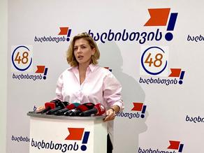 Ana Dolidze offers action plan to the opposition