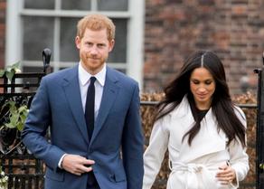 Prince Harry and Meghan Markle not to use the royal family privileges