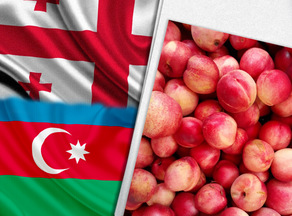 Georgia exports 567 tonnes of peach, nectarine to Azerbaijan