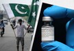 США отправили в Пакистан 5 млн доз вакцины от COVID-19