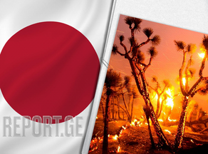 იაპონიაში ტყის ხანძრების ჩაქრობას 2 კვირა დასჭირდება