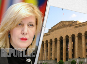 Дуня Миятович: Парламент Грузии должен отказаться от принятия этого законопроекта