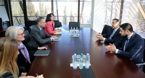 Bidzina Ivanishvili met with NDI president