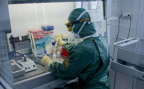 В Германии число инфицированных коронавирусом достигло 160 000