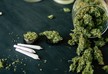 Австралиец 18 лет прожил с застрявшей в носу марихуаной