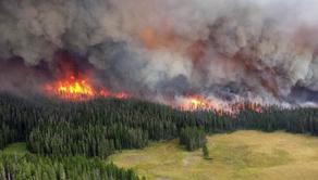 Bushfire in Russia