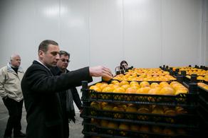 New refrigerator plant launched in Sighnaghi municipality