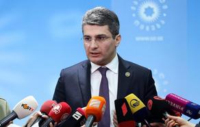 Mdinaradze says police never faced need to fire tear gas at protesters