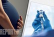 Bloomberg: Vaccinated pregnant women give antibodies to babies