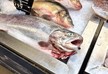 ვულკანის ამოფრქვევამ ტონგაში, სავარაუდოდ, ადგილობრივი თევზი მოწამლა