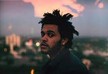 The Weeknd გაერო-ს მსოფლიო სასურსათო პროგრამის ელჩი გახდა