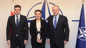 Ketevan Tsikhelashvili meets with NATO Deputy Secretary General