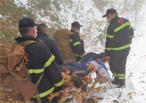 Firefighters and rescuers carrying wounded hunter out of woods - PHOTO