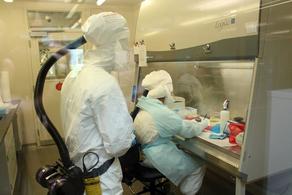 Coronavirus: Adjara confirms new cases