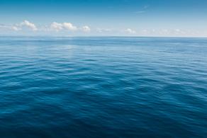 2100 წლისთვის ოკეანის ზედაპირი 95%-ით შეიცვლება