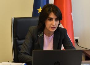 Вступление Грузии в SEPA обсудили в рамках рабочей группы