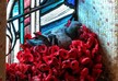 Pigeon steals poppies from memorial, creates patriotic nest