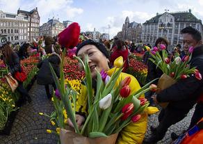 День тюльпанов отметили в Амстердаме - ВИДЕО